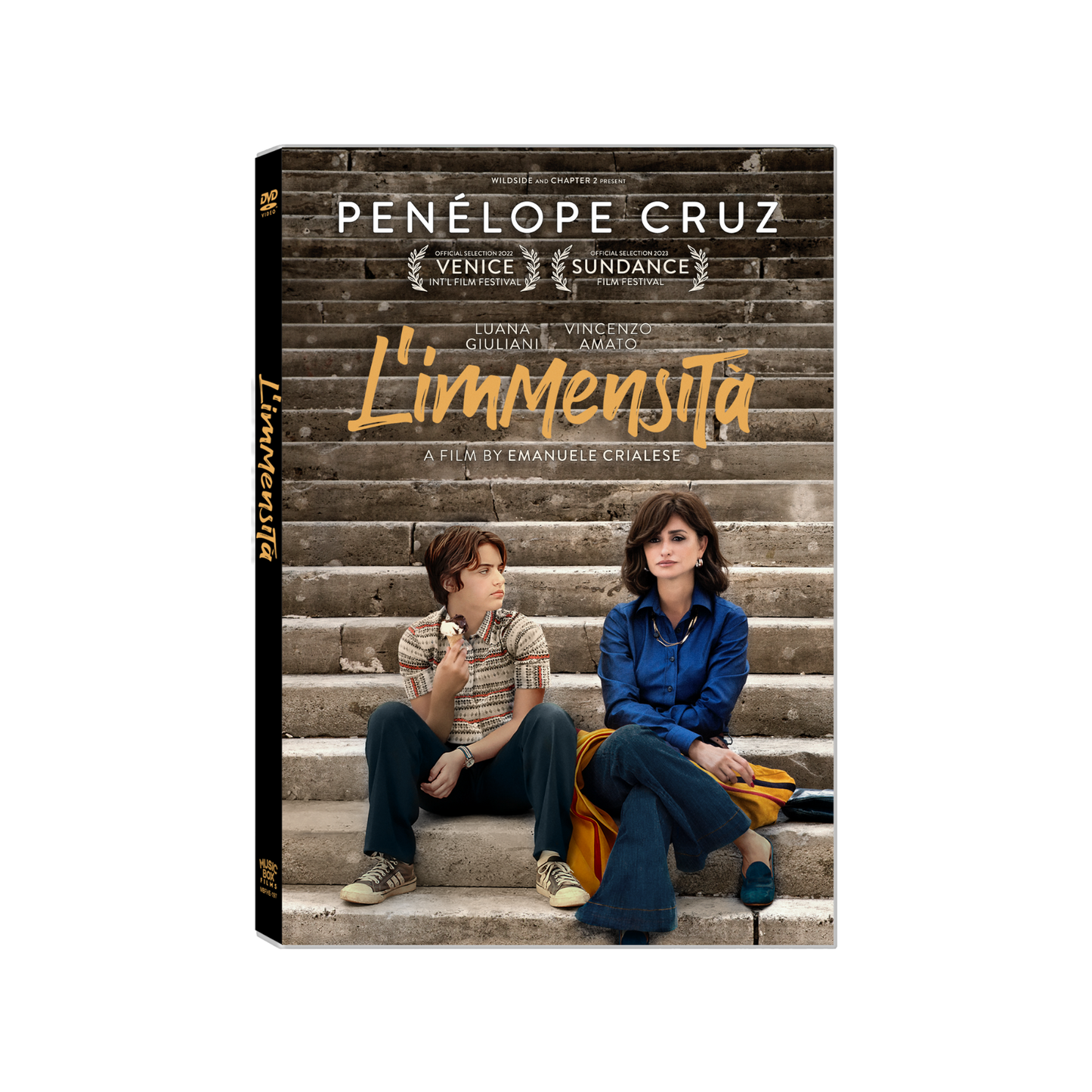 Picture of the cover of L'Immensita DVD