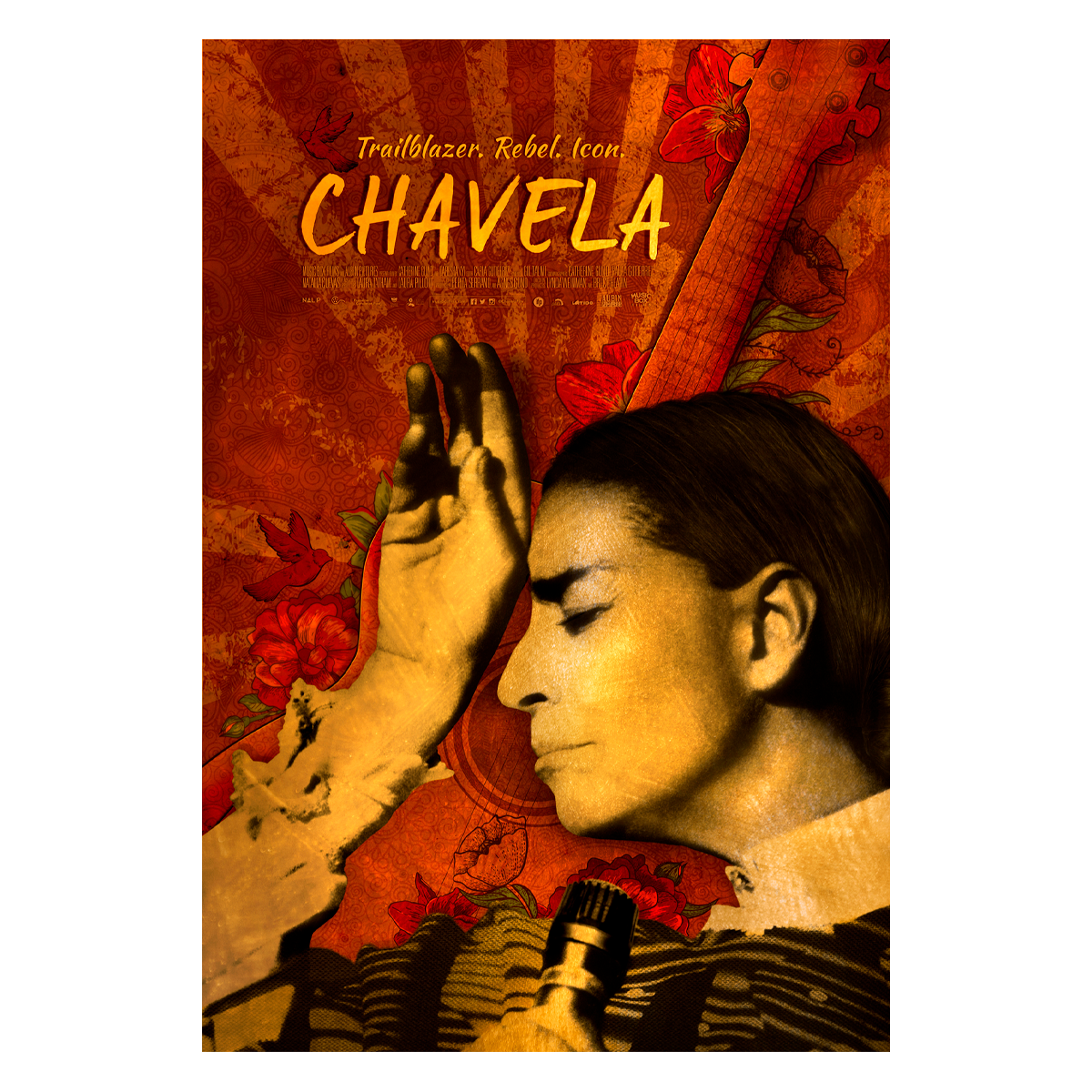 Chavela DVD