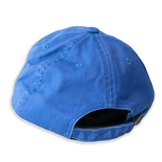 Eephus Banner Dad Cap - Riverdogs Blue