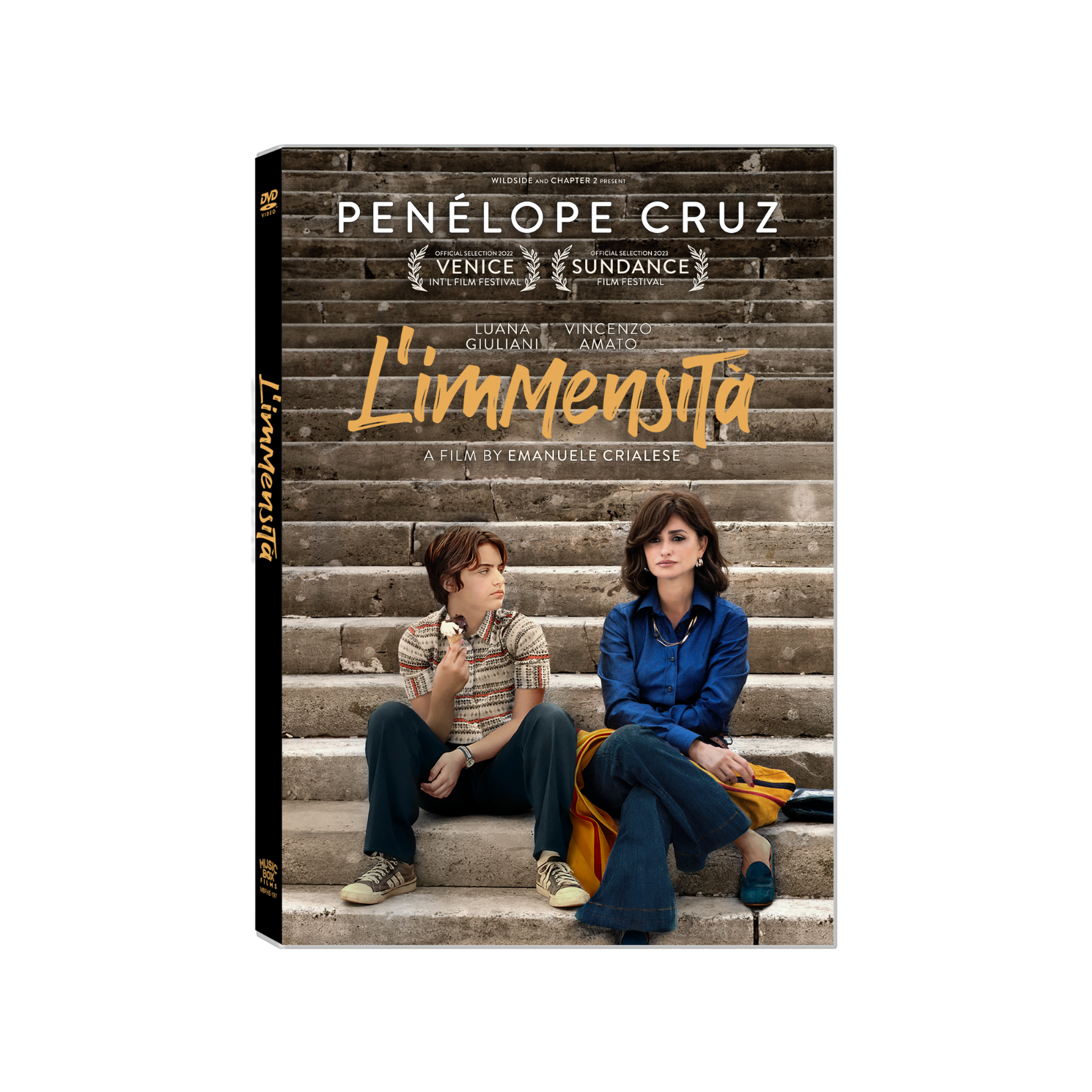 Picture of the cover of L'Immensita DVD