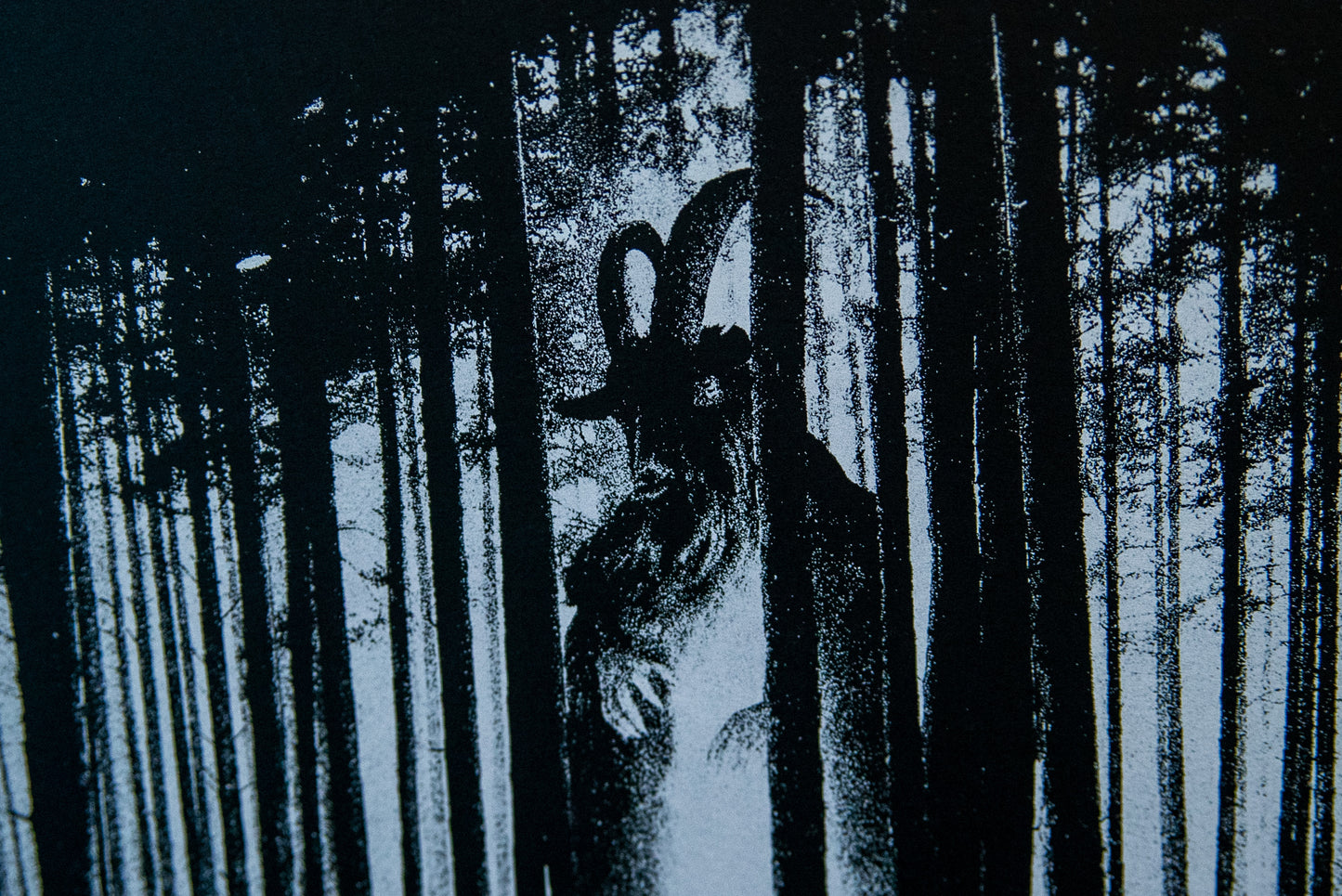 Music Box of Horrors 2024 Poster