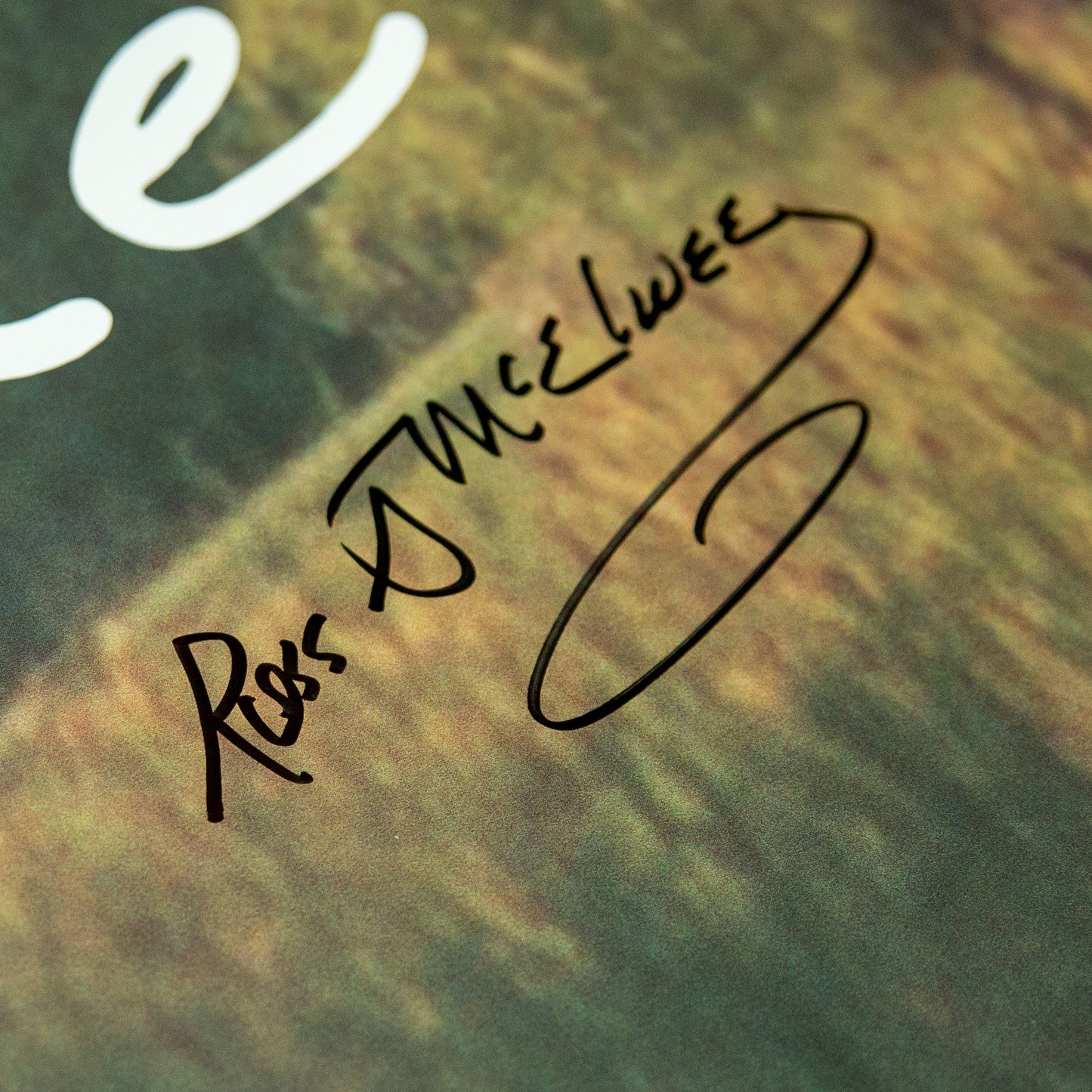 Remake Signed Poster (Director Ross McElwee)