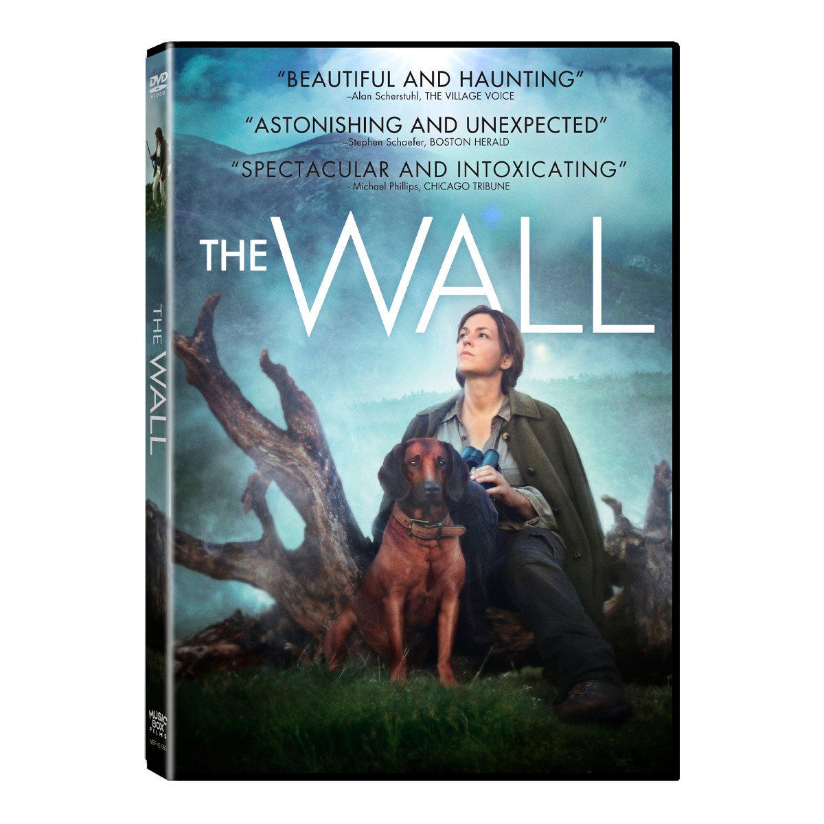 The Wall DVD